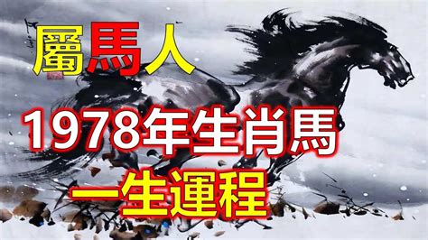 1978屬馬的男人|1978年出生的屬馬人什麼命格？准到爆！